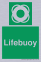 lifebuoy-with-symbol~